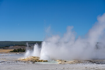 Clepsydra Geyser. Fountain Paint Pot Trail. Lower Geyser Basin in Yellowstone National Park. Hydrothermal System. hot-spring deposits. Extremophile. 
