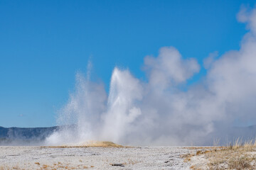 Clepsydra Geyser. Fountain Paint Pot Trail. Lower Geyser Basin in Yellowstone National Park. Hydrothermal System. hot-spring deposits. Extremophile. 
