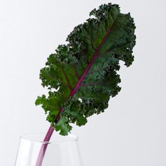 Single kale leaf in glass