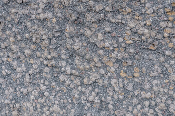 Plateau Rhyolite - Central Plateau Member - Nez Perce Creek flow. Firehole Canyon Road, Yellowstone National Park, Wyoming.  lithophysa / lithophysae