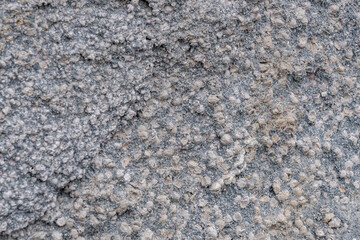 Plateau Rhyolite - Central Plateau Member - Nez Perce Creek flow. Firehole Canyon Road, Yellowstone National Park, Wyoming.  lithophysa / lithophysae