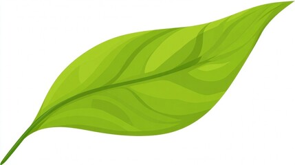 Obraz premium A vibrant illustration of a single green leaf, showcasing detailed veins and a smooth surface.