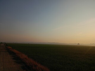 A serene landscape featuring a vast green field under a soft, gradient sky at dawn or dusk. The light is gentle, creating a peaceful and hazy atmosphere over the rural scenery.