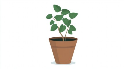 Fototapeta premium Illustration of a potted plant with green leaves and a brown pot.