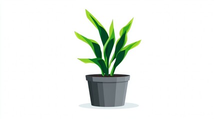 Illustration of a potted plant with green leaves in a dark grey pot on a white background, symbolizing nature and home decor.