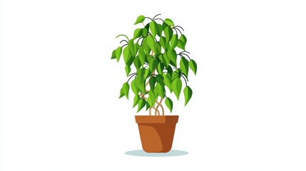 Fototapeta premium A stylized illustration of a lush green houseplant with many leaves in a brown terracotta pot, isolated on a white background.