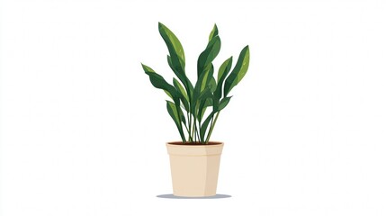 Potted green houseplant with fresh leaves for home decoration and gardening