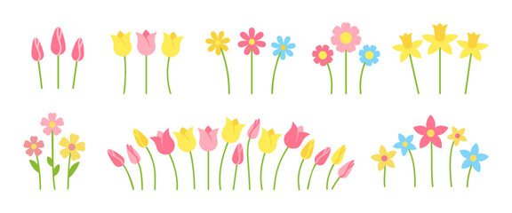 Colorful flower set. Separate isolated flowers different shapes. Yellow daffodil, pink tulip, chamomile daisy blossom. Spring floral meadow bloom. Garden herb bud field. Decorative nature plant