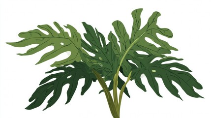 Closeup vector illustration of a fresh pine branch with green leaves isolated on a white background