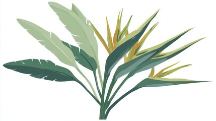 Illustration of a vibrant bird of paradise plant with lush green leaves and striking orange flowers.