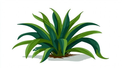 Fototapeta premium A stylized illustration of a lush green bush with long, pointed leaves, isolated on a white background.