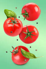 Fresh tomatoes, basil leaves and peppercorns flying on green gradient background
