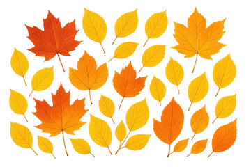 Obraz premium Autumn leaves falling, creating seasonal pattern with maple and yellow foliage on transparent background