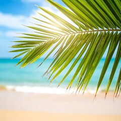Tropical palm leaf on a sunny beach