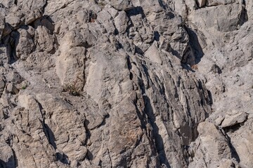 Lava Creek Tuff of Yellowstone Group - Member A. Grand Loop Rd, near Gibbon river, Yellowstone National Park, Wyoming.  