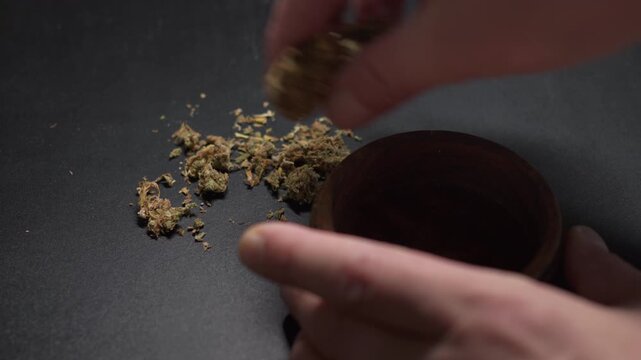 Closeup of hands of anonymous person putting green dried marijuana buds in dish, picking them from surface with careful attention