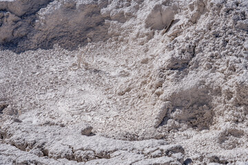 Artists Paintpots, Yellowstone National Park, Wyoming.  hot-spring deposits. Hydrothermal System area has colorful hot springs, mudpots, and small geysers.
