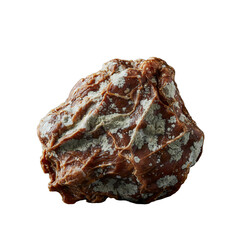 Texture of a Decaying Organic Mass with Mold and Discoloration