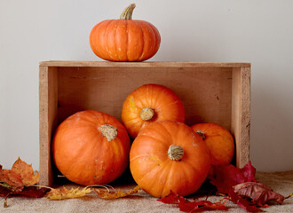 Orange pumpkins and wooden box 