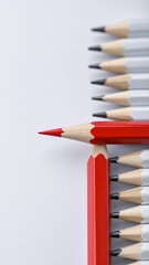 Red pencil standing out among many