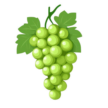 AI Image A vibrant illustration of succulent green grapes with leaves against a stark black