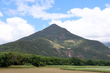 Walsh's Pyramid mountain with trees and sugar cane fields under a blue sky with clouds near Cairns in Queensland, Australia