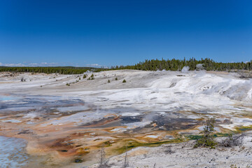 Porcelain Basin subbasin of Norris Geyser Basin, Yellowstone National Park, Wyoming.  Norris is one of the hottest and most acidic of Yellowstone’s hydrothermal areas. hot springs and fumaroles.