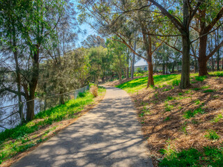 Fototapeta premium Bike track and pedestrian walk along cooks river sydney surrounded by mangroves and parks this walkway goes for many kilometers in Sydney NSW Australia 