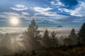甘利山から朝焼けの雲海に浮かぶ富士山