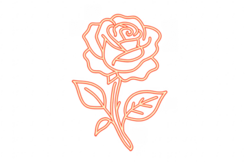 Glowing neon rose flower line art transparent background