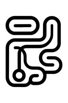 Stylized black and white python programming language logo icon