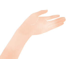 Woman's hand holding a hand watercolor illustration
