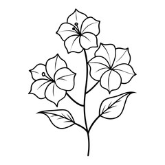 lavatera-thuringiaca line art on white background