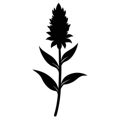 liatris ligulistylis blazing star flower silhouette vector on white background