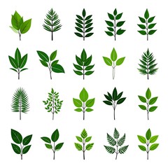 Collection of various green leaves, vector illustration