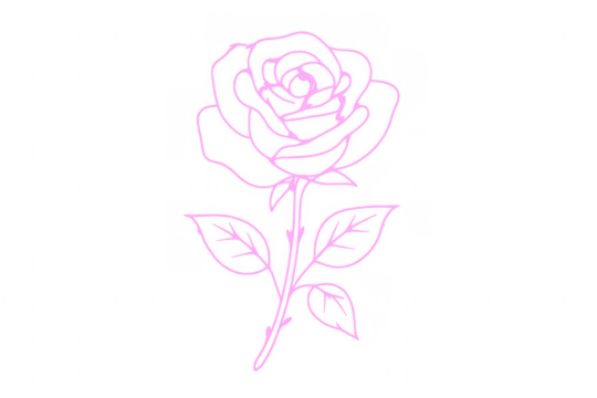 Pink rose flower drawing with transparent background