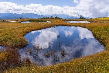 苗場山山頂湿原02