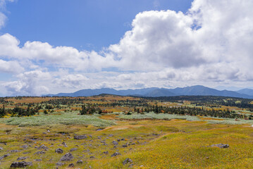 苗場山山頂湿原01