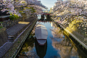桜咲く奥の細道むすびの地 船町港跡の春景色