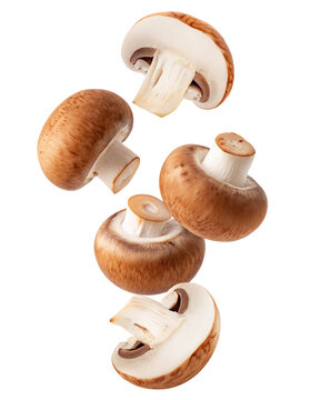 Fresh agaricus bisporus mushrooms falling isolated natural food ingredient culinary delight