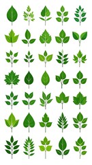 Collection of various stylized green leaf illustrations