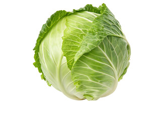 Fresh green cabbage isolated close up healthy food ingredient organic vegetable produce