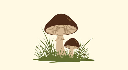 Two brown mushrooms grow in lush green grass on a pale background.