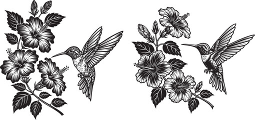 Vector art of two hummingbird silhouettes with hibiscus flowers, showcasing natures beauty © Ai