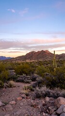 Desert mountain landscape at sunset with saguaros