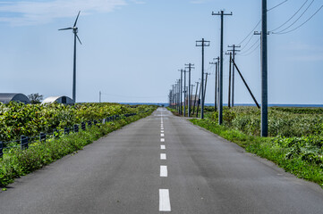 Endless Straight Paved Road in Hokkaido, Japan – Perfect for a Road Trip under Blue Sky