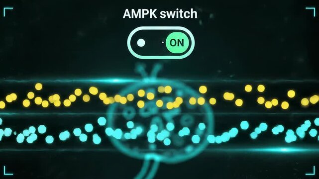 AMPK Switch - Glucose vs Fat Lanes Rebalance as Master Metabolic Toggle Flips On