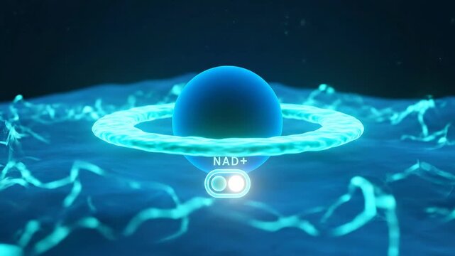 NAD? Ring Activation - Nuclear Halo Lights, Sirtuin Switch Engages, Gentle Energy Pulses Radiate