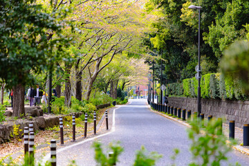 東京　皇居周辺