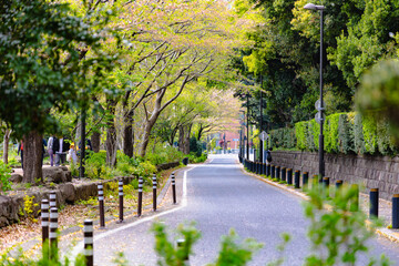 東京　皇居周辺